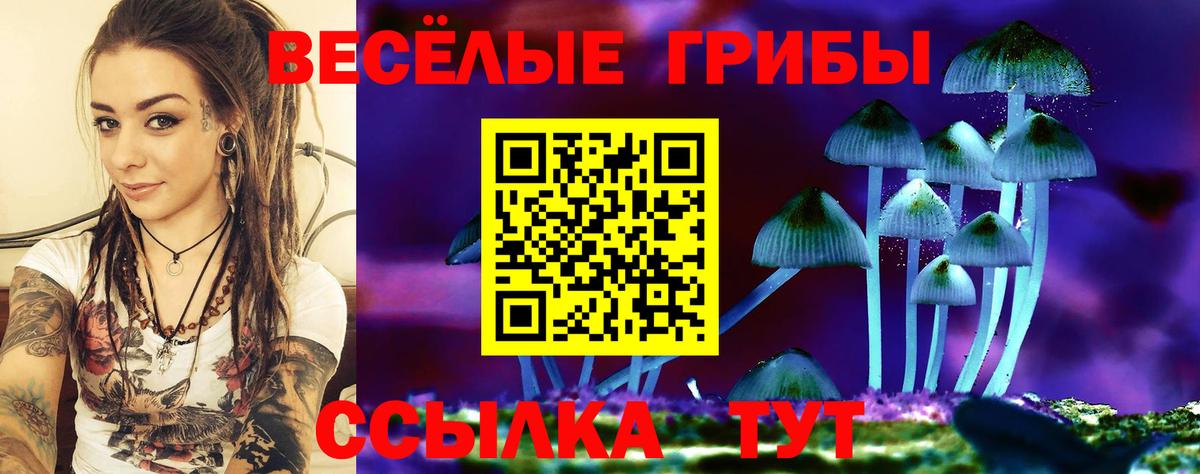Осинники  дарнет шоп  Псилоцибиновые грибы Magic Shrooms  Вход с VPN  Галлюциногенные грибы прущие грибы 